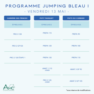 Jumping Bleau