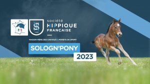 solognpony