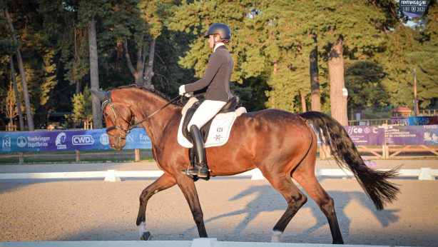Grande Semaine de Dressage