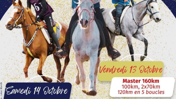 Concours d’Endurance International